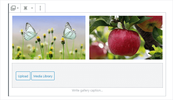 图库中的两张图片（蝴蝶和苹果）