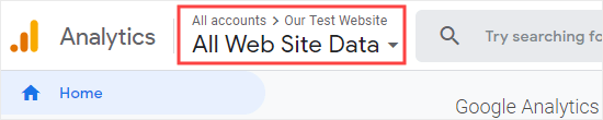 检查您是否在 Google Analytics 中选择了正确的网站