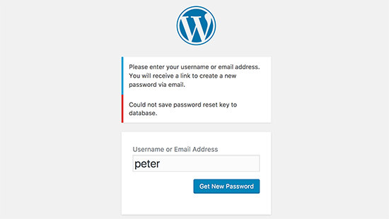 WordPress中的密码重置密钥错误
