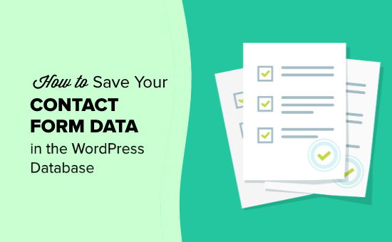 将您的联系表格数据保存在您的 WordPress 数据库中