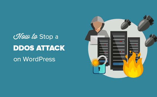 停止和防止对 WordPress 网站的 DDOS 攻击