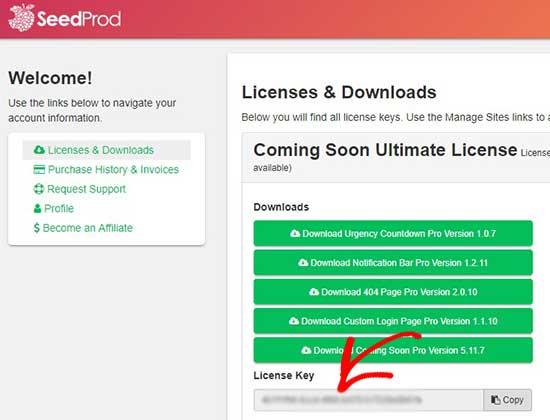 License key License key