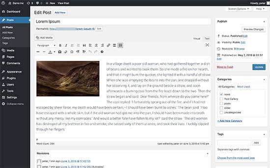 WordPress post editor WordPress post editor