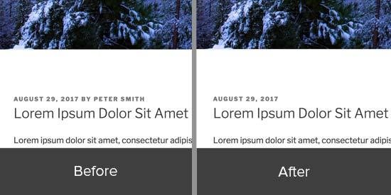 Author name removed by manually editing theme files Author name removed by manually editing theme files