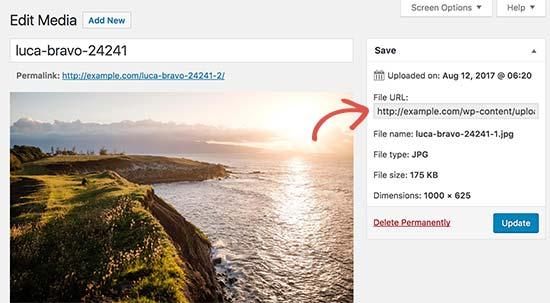 Copy image URL Copy image URL