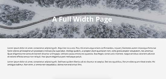 Full width page using theme Full width page using theme