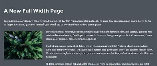 Full width page preview Full width page preview