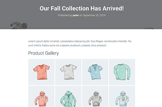 WooCommerce product gallery preview WooCommerce product gallery preview