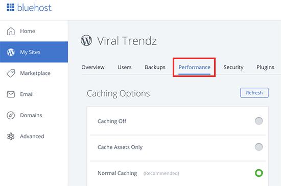 Bluehost caching Bluehost caching