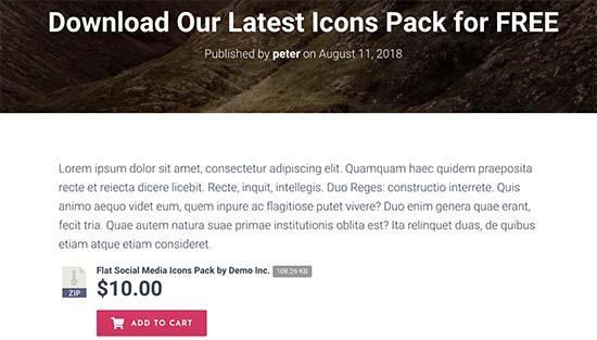 A paid file download in a WordPress post A paid file download in a WordPress post