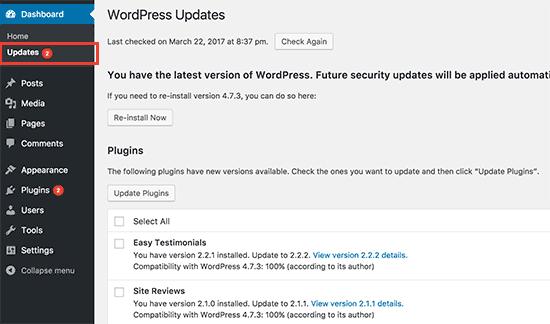 Updates page in WordPress admin area Updates page in WordPress admin area