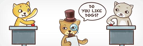 Quiz Cat Quiz Cat