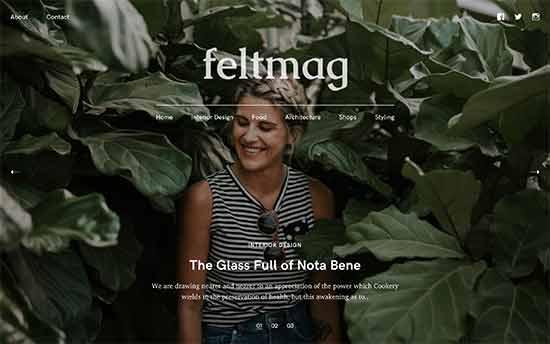 Feltmag Feltmag