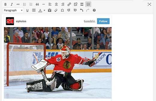 Tumblr auto embed in WordPress Tumblr auto embed in WordPress
