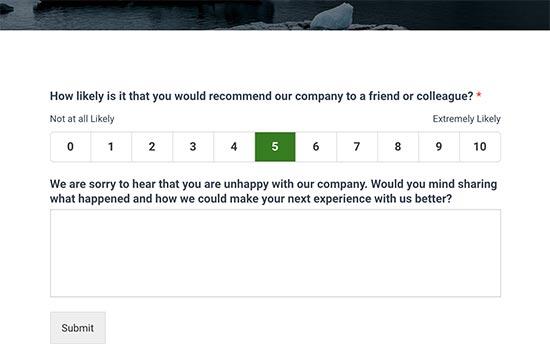 NPS survey form with feedback field NPS survey form with feedback field