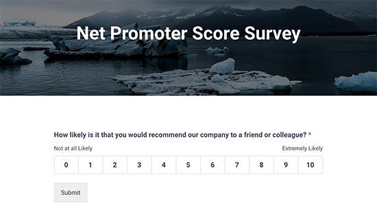 Net Promoter Score survey preview Net Promoter Score survey preview