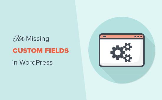 Fix missing custom fields in WordPress Fix missing custom fields in WordPress