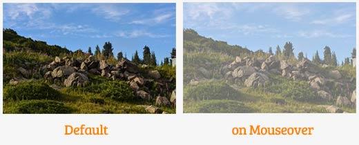 Image fade in hover effect image fade effect