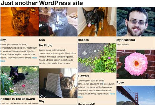 Screenshot of Masonry Grid Layout in WordPress Screenshot of Masonry Grid Layout in WordPress