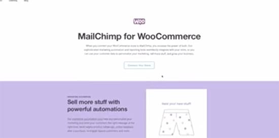 MailChimp for WooCommerce MailChimp for WooCommerce