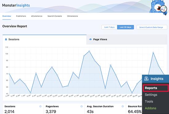 Website stats reports Website stats reports