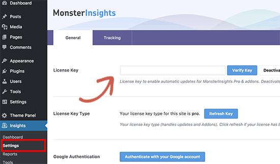 MonsterInsights license key MonsterInsights license key