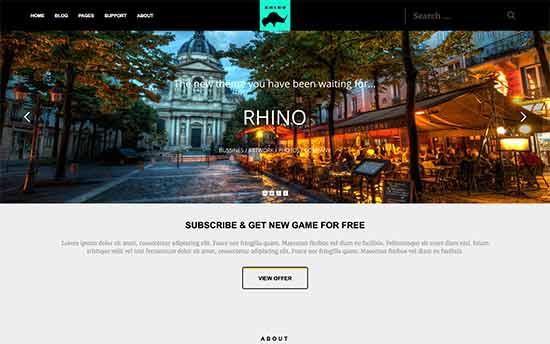 Rhino Rhino