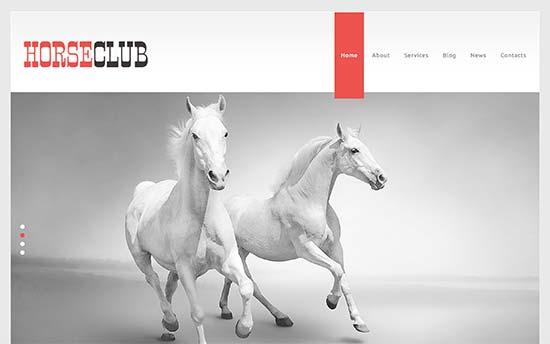 Horse Club