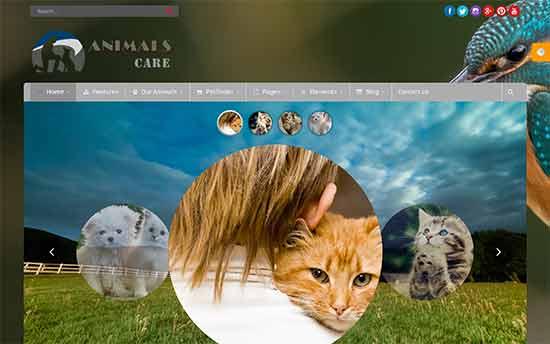 Animals Care