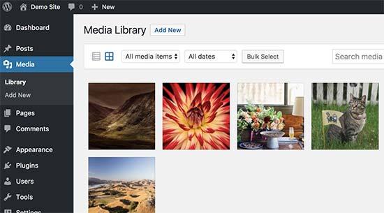 Media files uploaded via FTP to WordPress Media files uploaded via FTP to WordPress