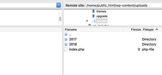 WordPress uploads folder WordPress uploads folder