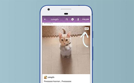 Paused GIF example Paused GIF example