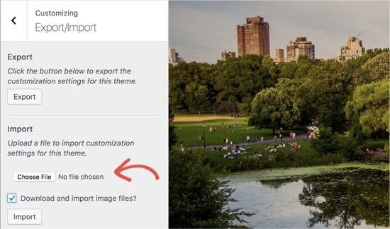 Import theme settings Import theme settings