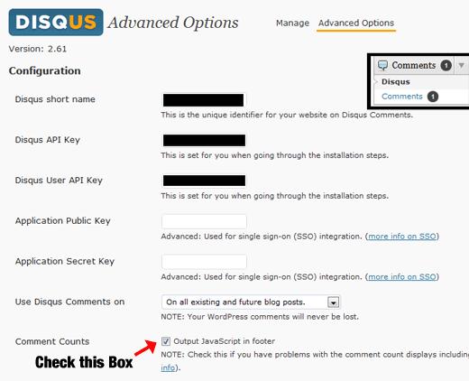 Disqus Advanced Options Panel