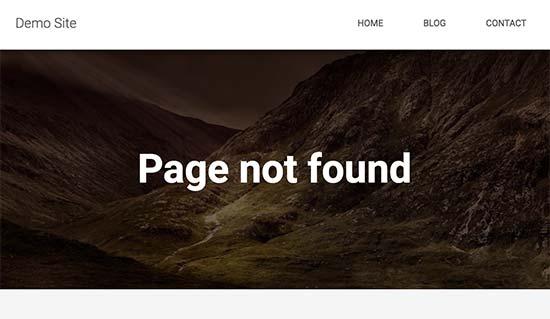 search404error
