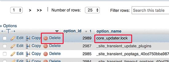 Delete core updater lock option Delete core updater lock option