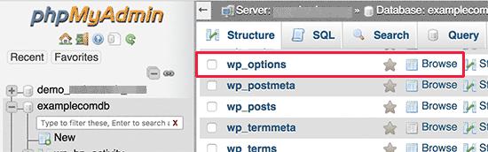 WordPress options table WordPress options table