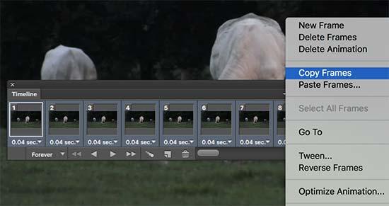 Copy frames Copy frames