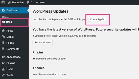 Check for WordPress updates Check for WordPress updates