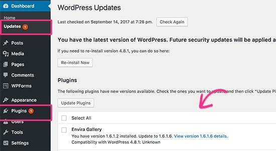 WordPress plugin update available WordPress plugin update available