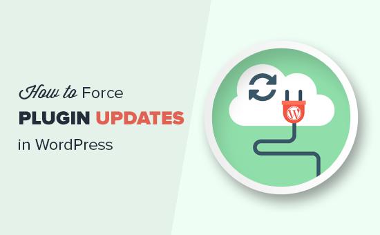 Force WordPress plugin updates Force WordPress plugin updates