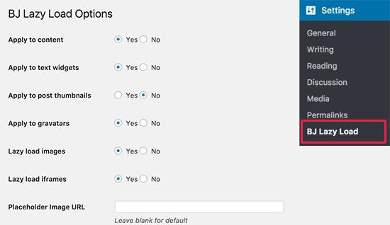 Lazy Load settings Lazy Load settings