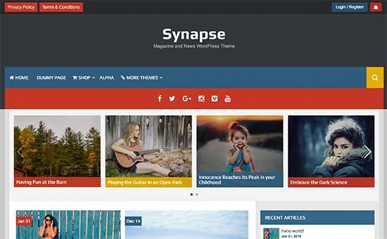 Synapse Synapse