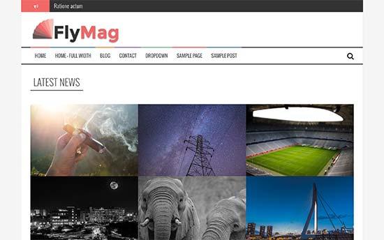 FlyMag FlyMag