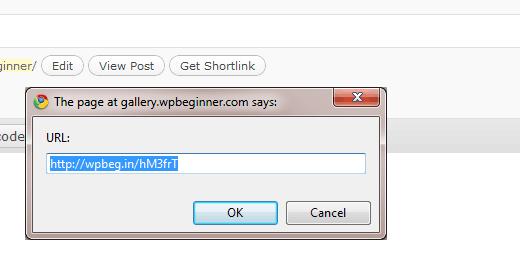 Get Shortlinks in WordPress Theme