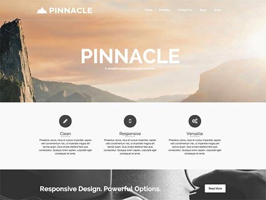 Pinnacle Pinnacle