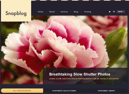 Snapblog Theme