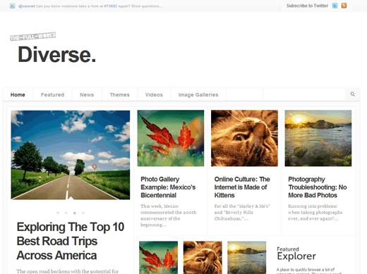 Diverse Theme