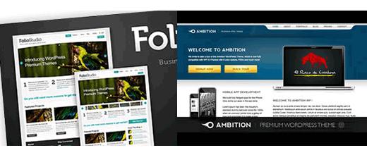 WordPress Themes