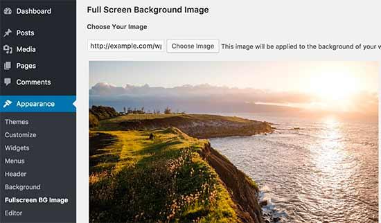 Full screen background image Full screen background image